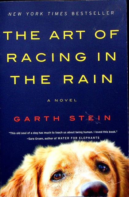 The Art of Racing in the Rain