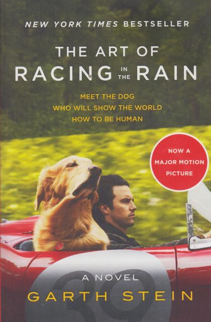 The Art of Racing in the Rain