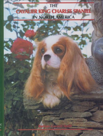 The Cavalier King Charles Spaniel in North America