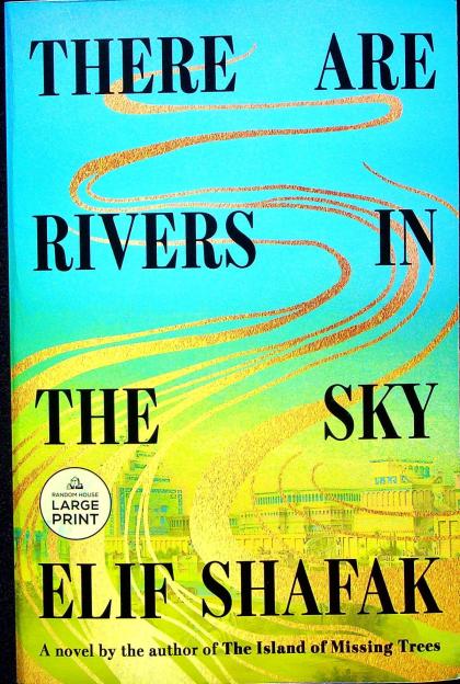 There Are Rivers In the Sky (Large Print)