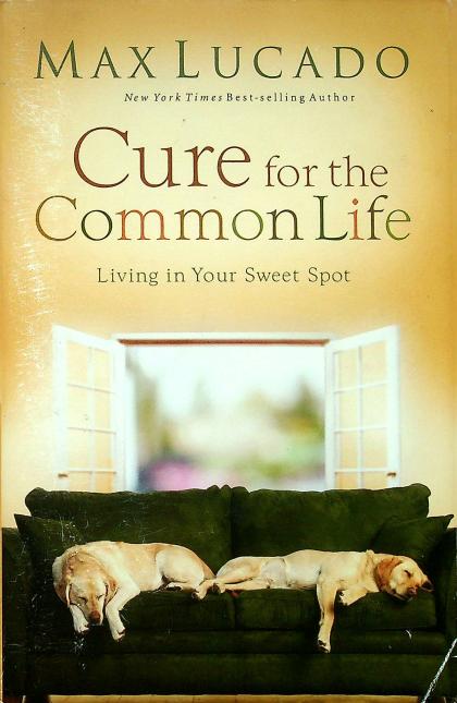 Cure for the Common Life: Living in Your Sweet Spot