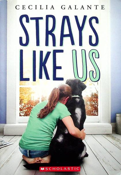 Strays Like Us
