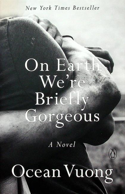 On Earth We're Briefly Gorgeous