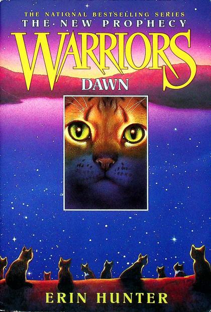 Dawn