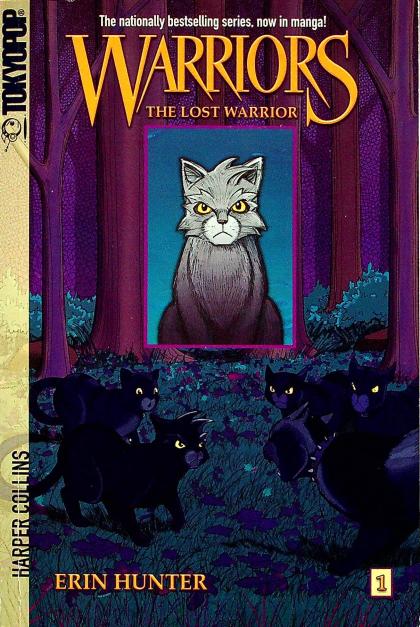 The Lost Warrior