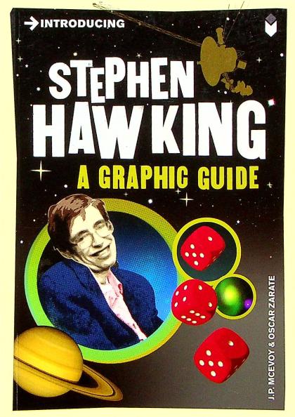 Introducing Stephen Hawking: A Graphic Guide