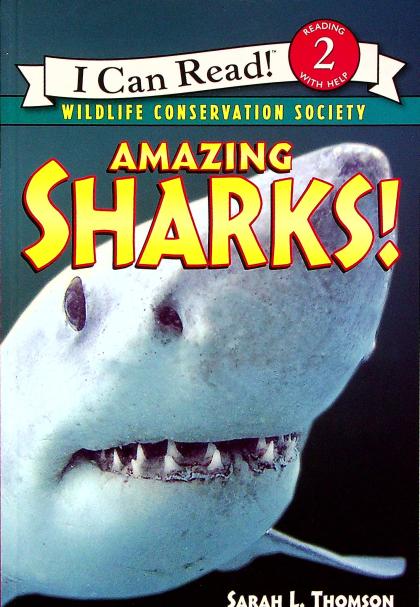 Amazing Sharks!