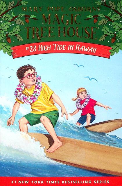 High Tide in Hawaii
