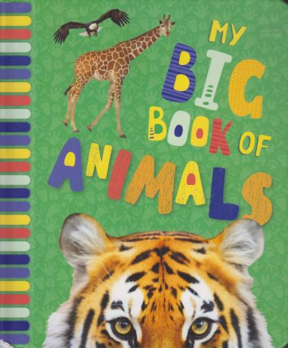My Big Book of Animals