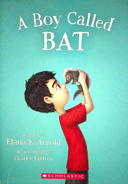 A Boy Called Bat