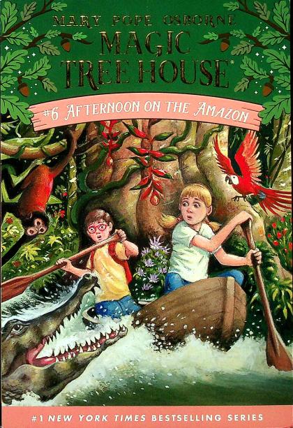 Afternoon on the Amazon