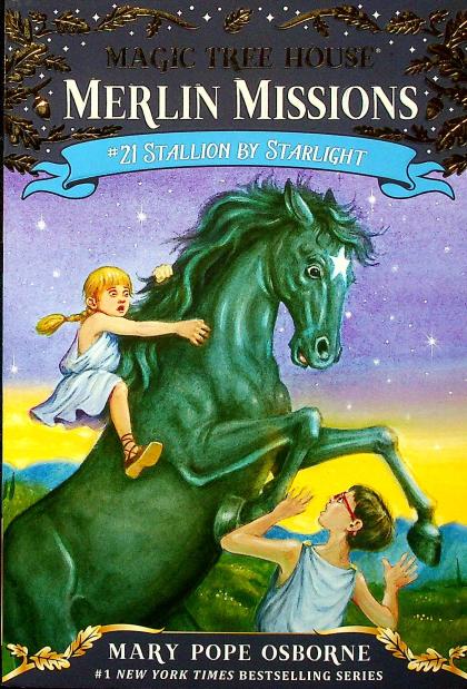 Stallion by Starlight