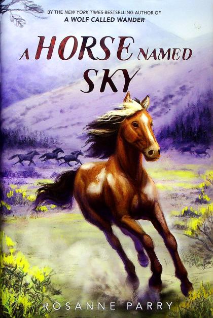 A Horse Named Sky