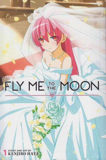 Fly Me to the Moon