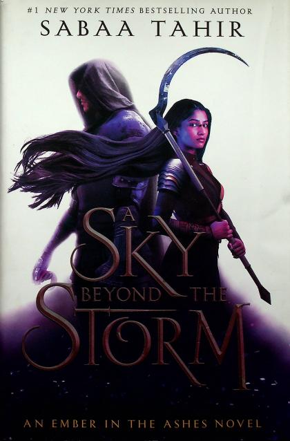 A Sky Beyond the Storm