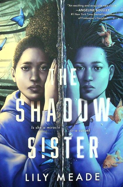 The Shadow Sister